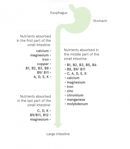 bariatric multivitamins